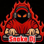 snake dj